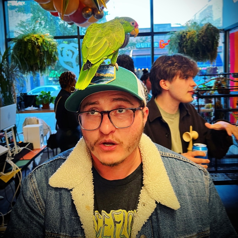 Meet your Posher, Frank